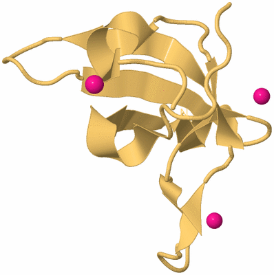 Image Biological Unit 7