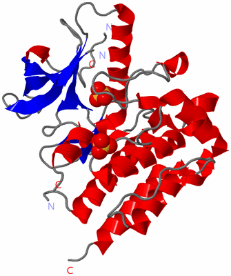 Image Asym./Biol. Unit