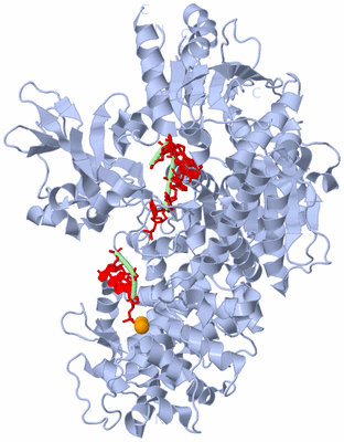 Image Biological Unit 1