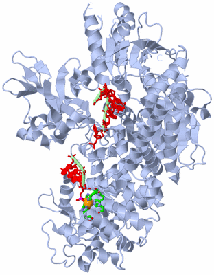 Image Biol. Unit 1 - sites