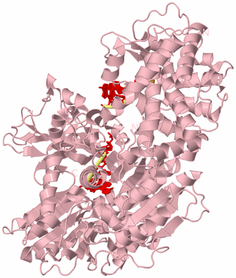 Image Biological Unit 2