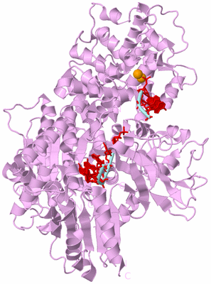 Image Biological Unit 3