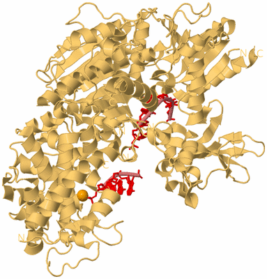 Image Biological Unit 4