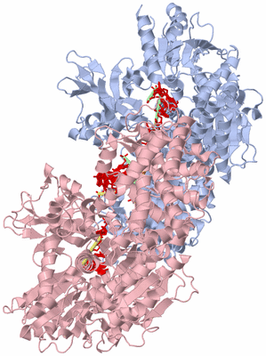 Image Biological Unit 5