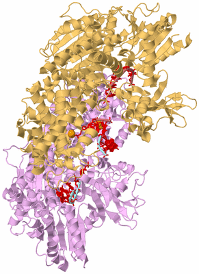 Image Biological Unit 6