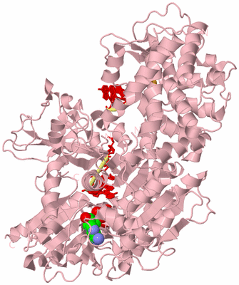 Image Biological Unit 1