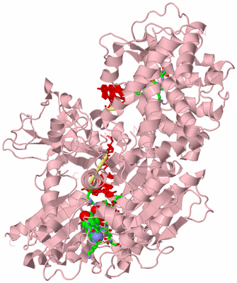 Image Biol. Unit 1 - sites