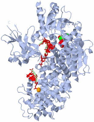 Image Biological Unit 2