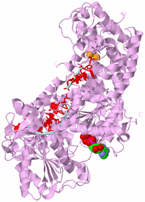 Image Biological Unit 3