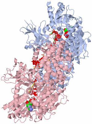 Image Biological Unit 5