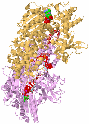 Image Biological Unit 6