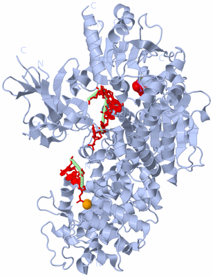 Image Biological Unit 1