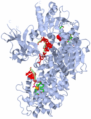 Image Biol. Unit 1 - sites