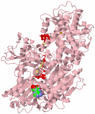 Image Biological Unit 2