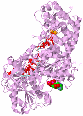 Image Biological Unit 3