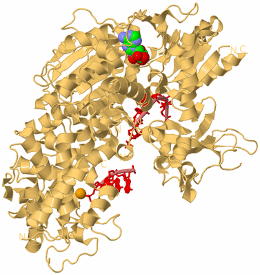 Image Biological Unit 4