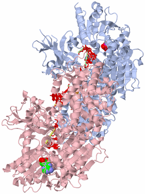 Image Biological Unit 5