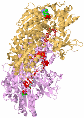 Image Biological Unit 6