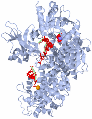 Image Biological Unit 1