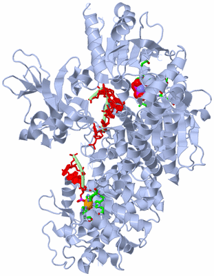 Image Biol. Unit 1 - sites