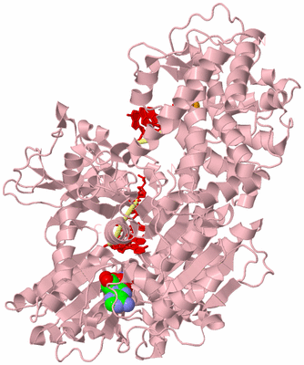 Image Biological Unit 2