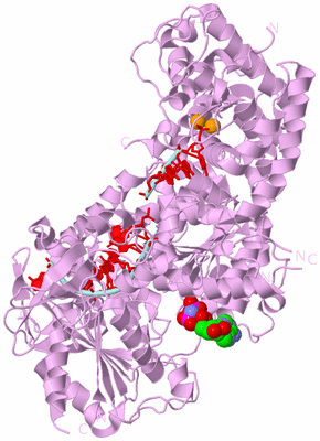 Image Biological Unit 3