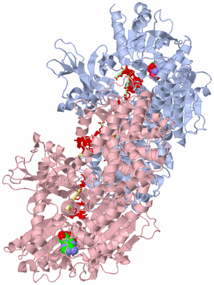 Image Biological Unit 5