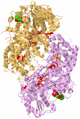 Image Biological Unit 6