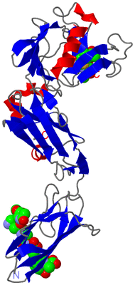 Image Asymmetric Unit