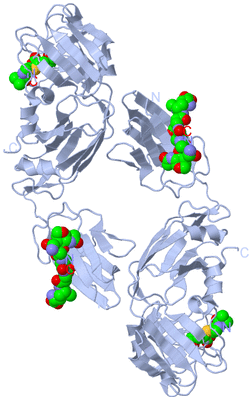 Image Biological Unit 2