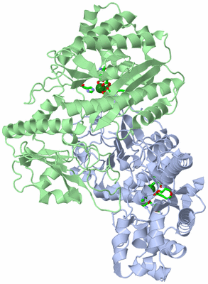 Image Asym./Biol. Unit - sites