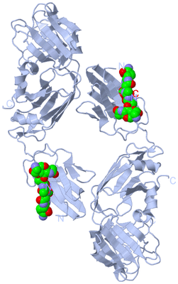 Image Biological Unit 2