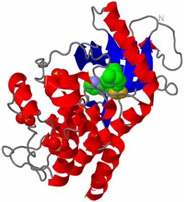 Image Asym./Biol. Unit