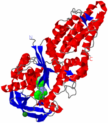 Image Asym./Biol. Unit