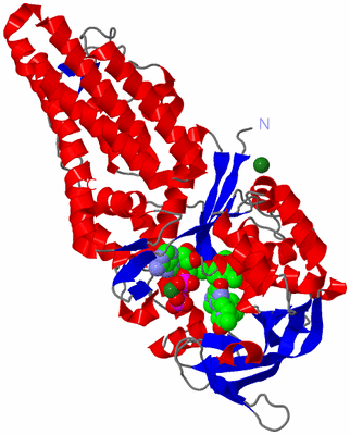 Image Asym./Biol. Unit