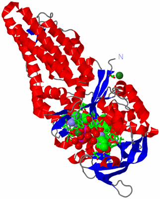 Image Asym./Biol. Unit - sites