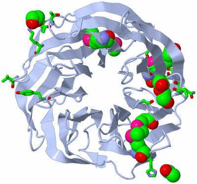 Image Biol. Unit 1 - sites