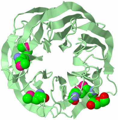 Image Biological Unit 2