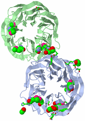 Image Asym. Unit - sites