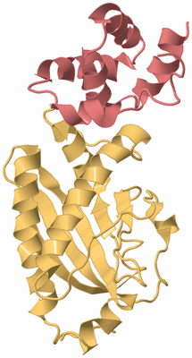 Image Biological Unit 4