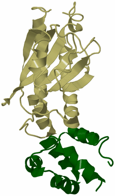 Image Biological Unit 7