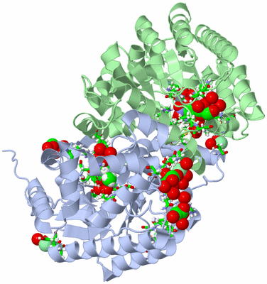 Image Biol. Unit 1 - sites