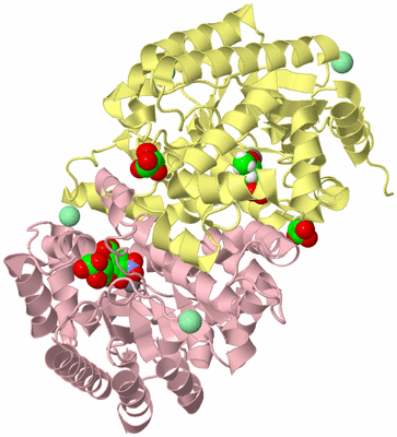 Image Biological Unit 2