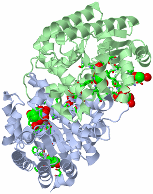 Image Biol. Unit 1 - sites