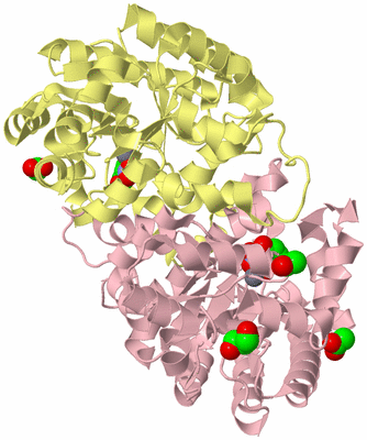 Image Biological Unit 2