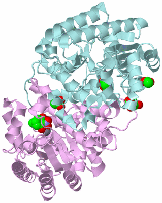 Image Biological Unit 3