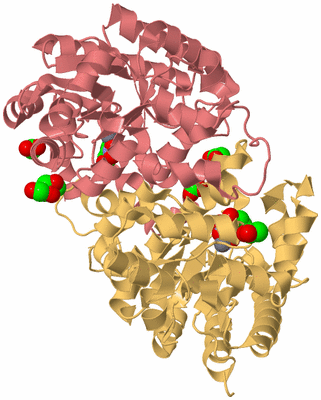 Image Biological Unit 4