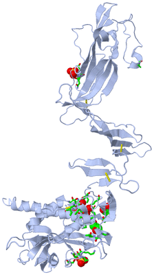 Image Biol. Unit 1 - sites