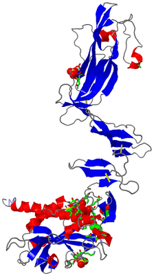 Image Asym. Unit - sites