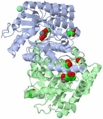 Image Biological Unit 1